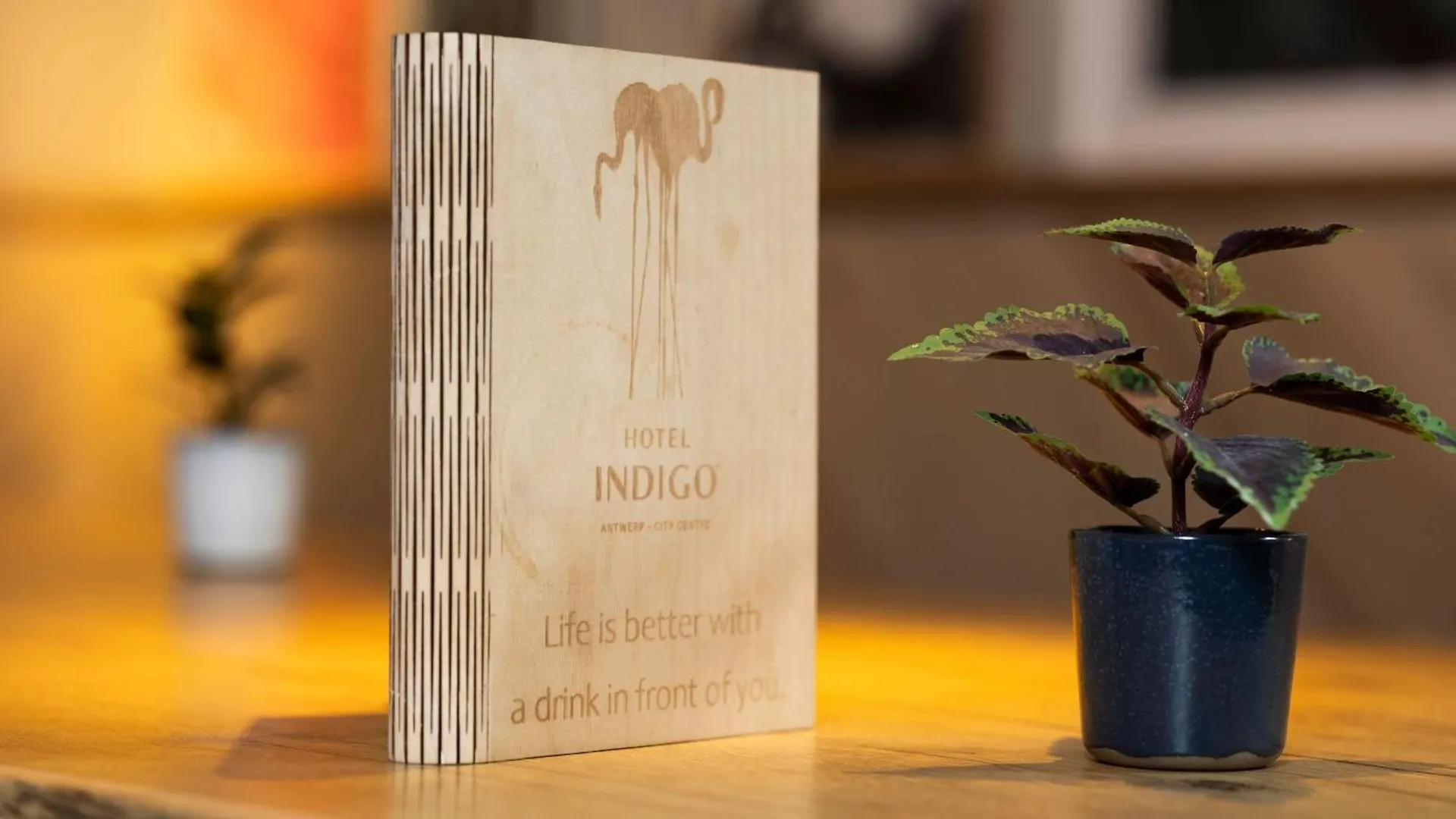 Hotel Indigo Antwerp City Centre, an IHG Hotel 4*,  België